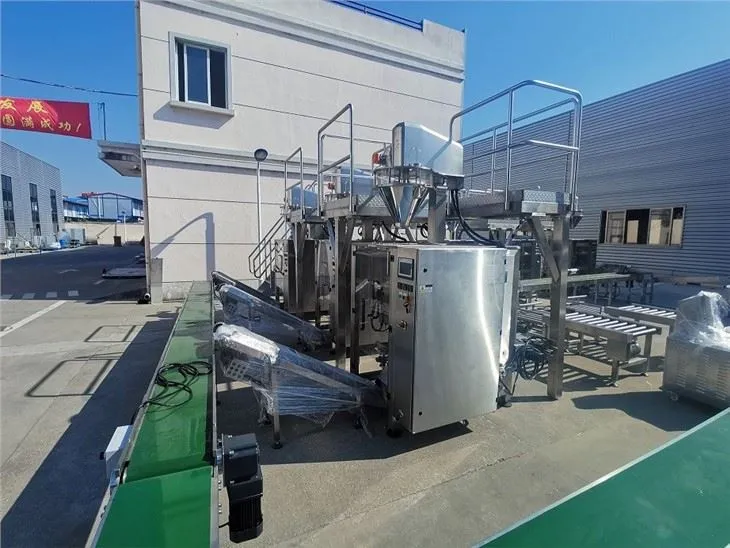 Gusset Bag Powder Filling Machine