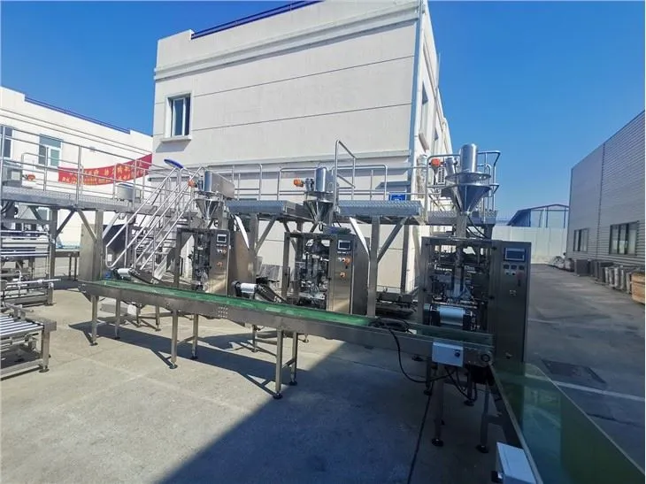 Powder 1kg Bag Filling Machine